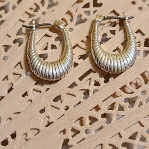Elegant Silver Hoop Earrings
